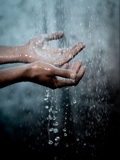 Sed de Espiritualidad